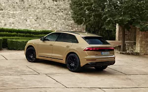   Audi Q8 55 TFSI quattro S line - 2023