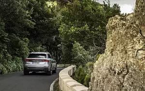   Audi RS Q8 (HN-RS-8007) - 2020