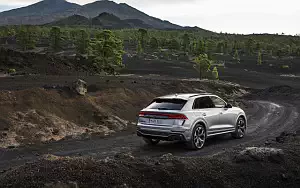   Audi RS Q8 (HN-RS-8010) - 2020