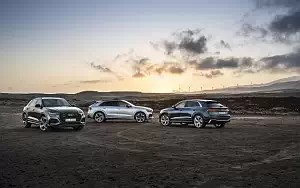   Audi RS Q8 (HN-RS-8011) - 2020