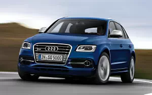   Audi SQ5 TDI - 2012