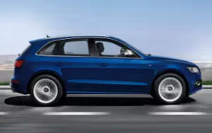   Audi SQ5 TDI - 2012