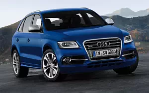   Audi SQ5 TDI - 2012