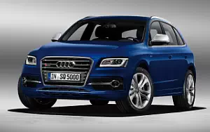   Audi SQ5 TDI - 2012