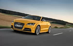   Audi TTS Roadster Competition - 2013
