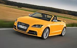   Audi TTS Roadster Competition - 2013