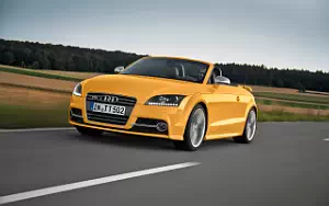   Audi TTS Roadster Competition - 2013