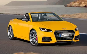   Audi TTS Roadster - 2014