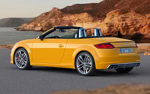   Audi TTS Roadster - 2014