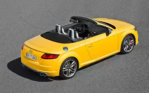   Audi TTS Roadster - 2014
