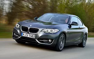   BMW 220i Coupe Sport Line - 2014