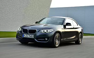   BMW 220i Coupe Sport Line - 2014