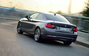   BMW 220i Coupe Sport Line - 2014