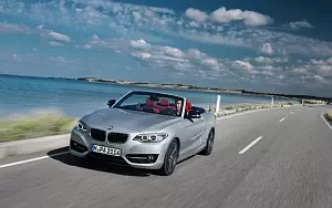   BMW 228i Convertible - 2014