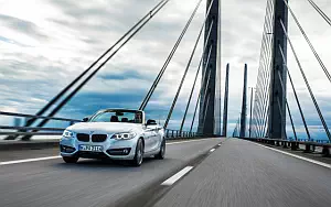   BMW 228i Convertible - 2014