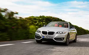   BMW 228i Convertible - 2014
