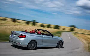   BMW 228i Convertible - 2014