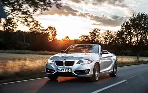   BMW 228i Convertible - 2014