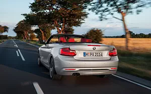   BMW 228i Convertible - 2014