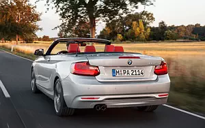   BMW 228i Convertible - 2014