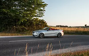   BMW 228i Convertible - 2014