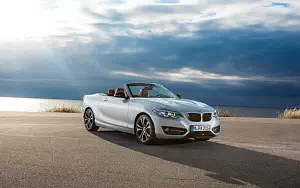  BMW 228i Convertible - 2014