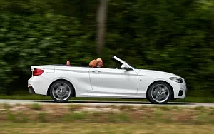   BMW 220d Convertible M Sport - 2017