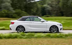   BMW 220d Convertible M Sport - 2017