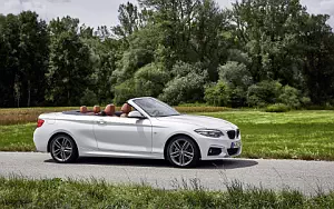   BMW 220d Convertible M Sport - 2017