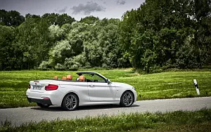   BMW 220d Convertible M Sport - 2017