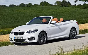   BMW 220d Convertible M Sport - 2017