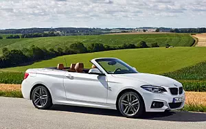   BMW 220d Convertible M Sport - 2017