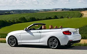   BMW 220d Convertible M Sport - 2017