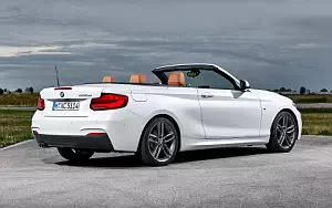   BMW 220d Convertible M Sport - 2017