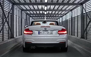   BMW 220d Convertible M Sport - 2017