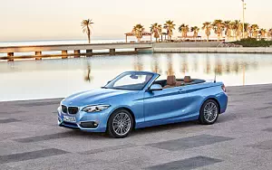   BMW 230i Convertible Luxury Line - 2017