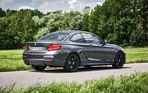   BMW M240i xDrive Coupe - 2017