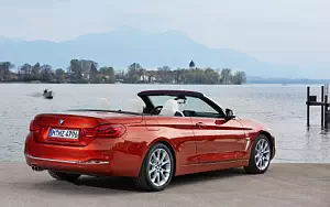   BMW 430i Convertible Luxury Line - 2017