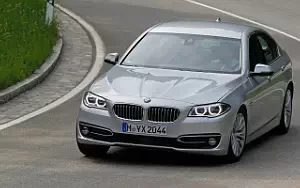   BMW 530d Luxury Line - 2013