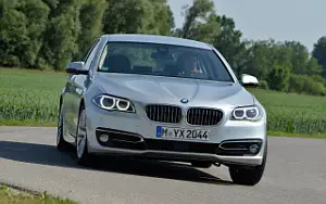   BMW 530d Luxury Line - 2013