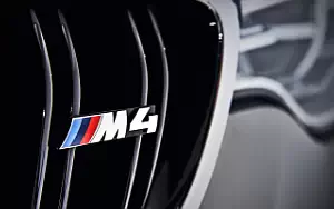   BMW M4 Convertible Individual - 2014