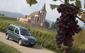   Citroen Berlingo Multispace - 2005