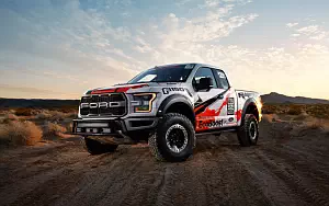   Ford F-150 Raptor Race Truck - 2016