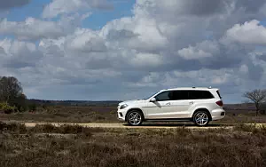   Mercedes-Benz GL350 BlueTEC AMG Sports Package UK-spec - 2013