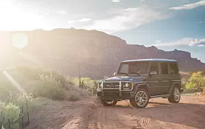   Mercedes-AMG G65 US-spec - 2016