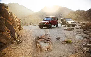   Mercedes-Benz G 550 and Mercedes-AMG G 63 US-spec - 2018