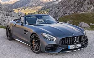   Mercedes-AMG GT C Roadster - 2016