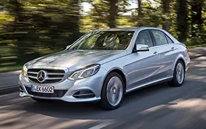   Mercedes-Benz E220 BlueTEC BlueEFFICIENCY Edition - 2013