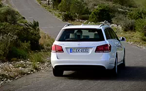   Mercedes-Benz E300 BlueTec HYBRID Estate - 2013