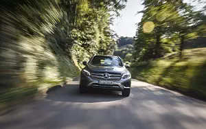   Mercedes-Benz GLC 220 d 4MATIC Off Road - 2015